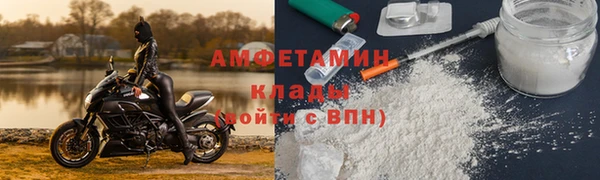 мдпв Бородино