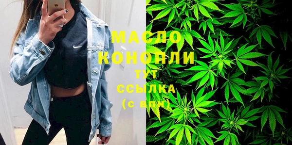 мдпв Бородино