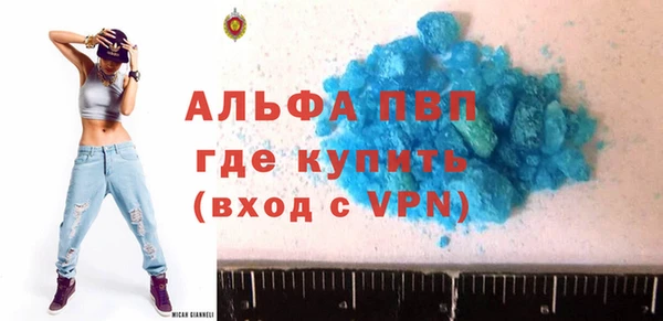 мдпв Бородино