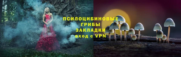 PSILOCYBIN Бронницы