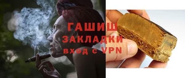 мдпв Бородино