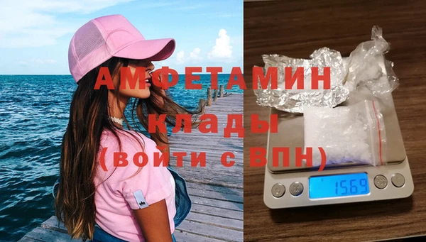 мдпв Бородино
