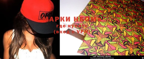 мдпв Бородино