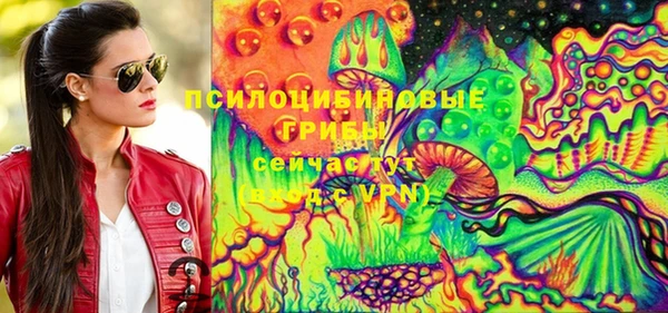 мдпв Бородино