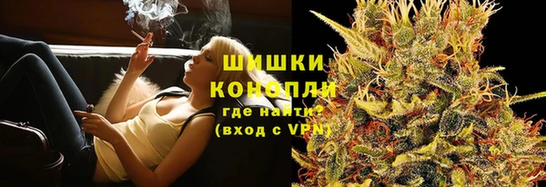 мдпв Бородино