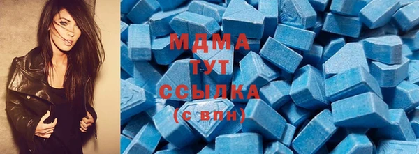 мдпв Бородино