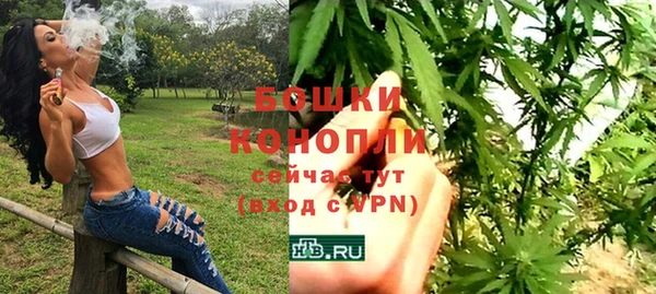 PSILOCYBIN Бронницы